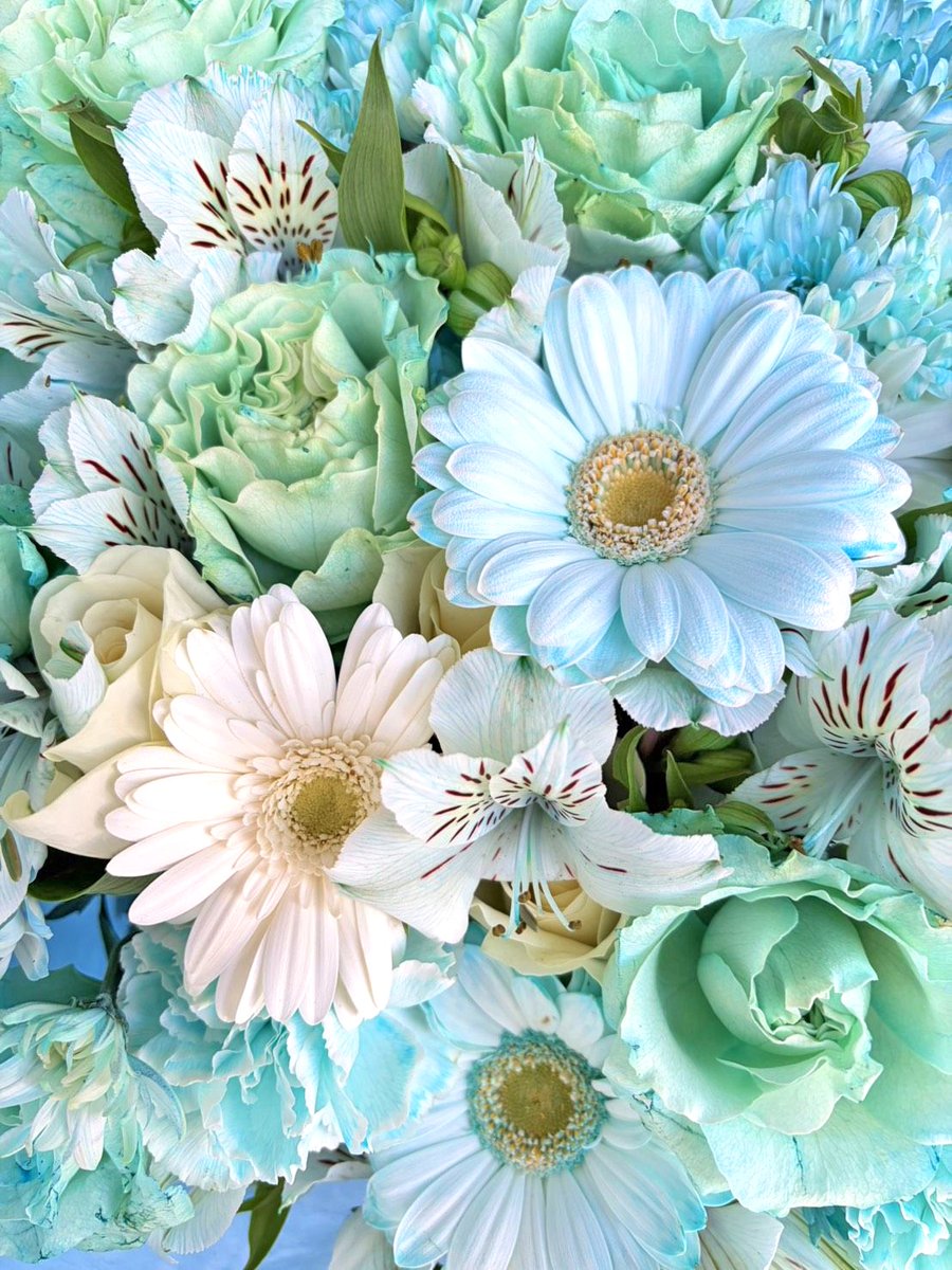 はなしごと🌻 (@hanashigoto87) / Posts / X