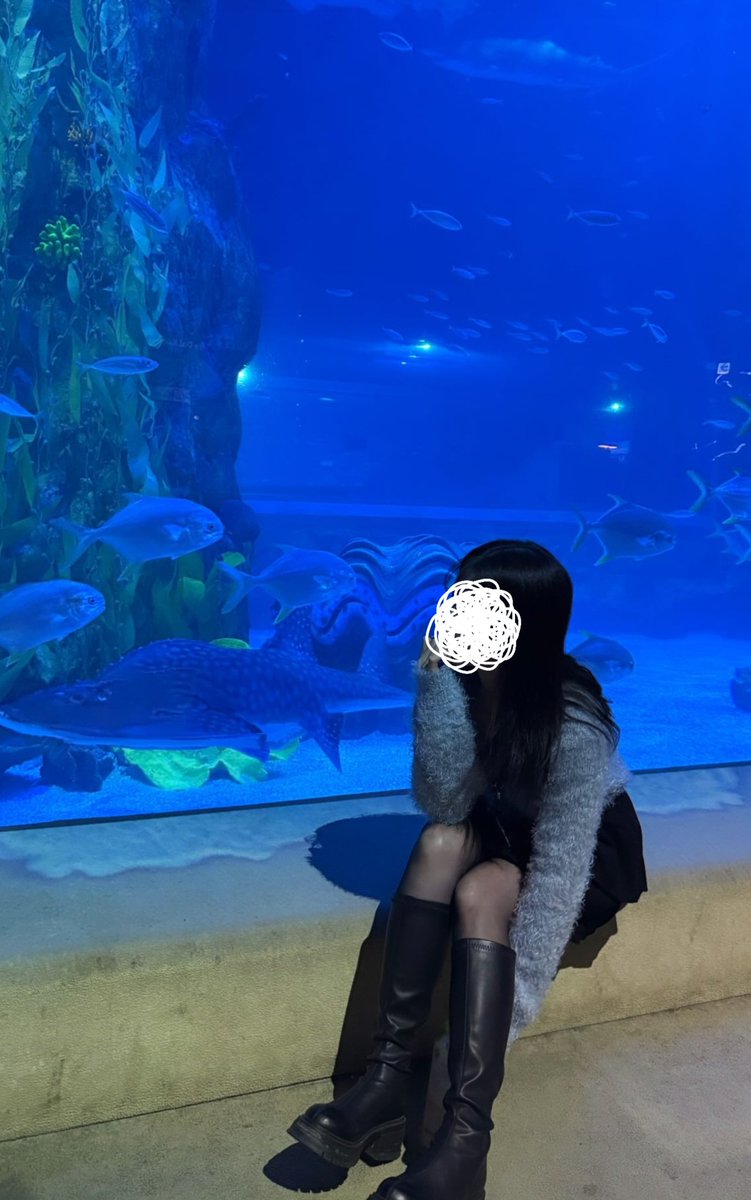 꼬기야 일루와🐟

#은서공주 #핀돔