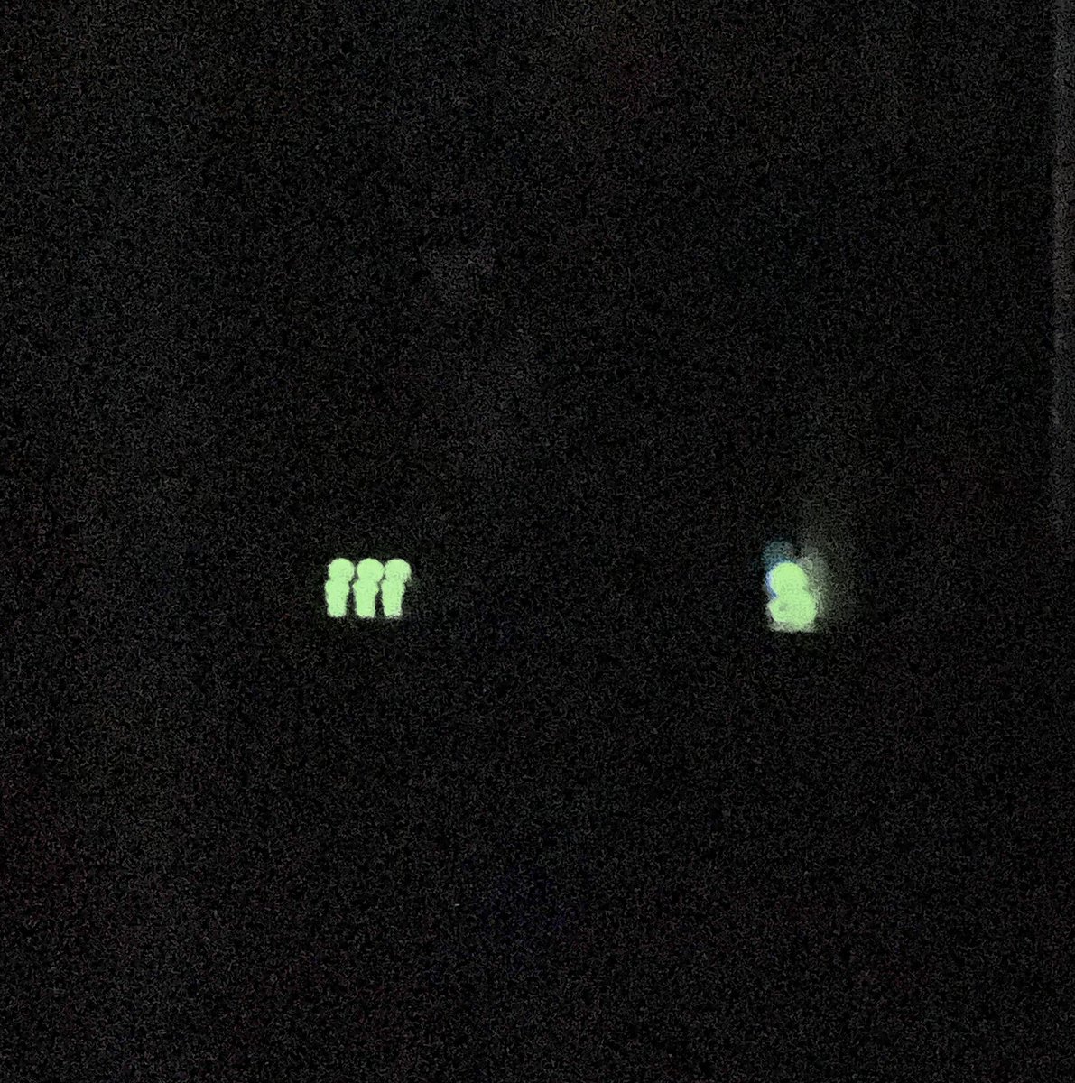 kmnco8's tweet photo. black jack + a photo of my smiskis in the dark https://t.co/tduka5zwNC