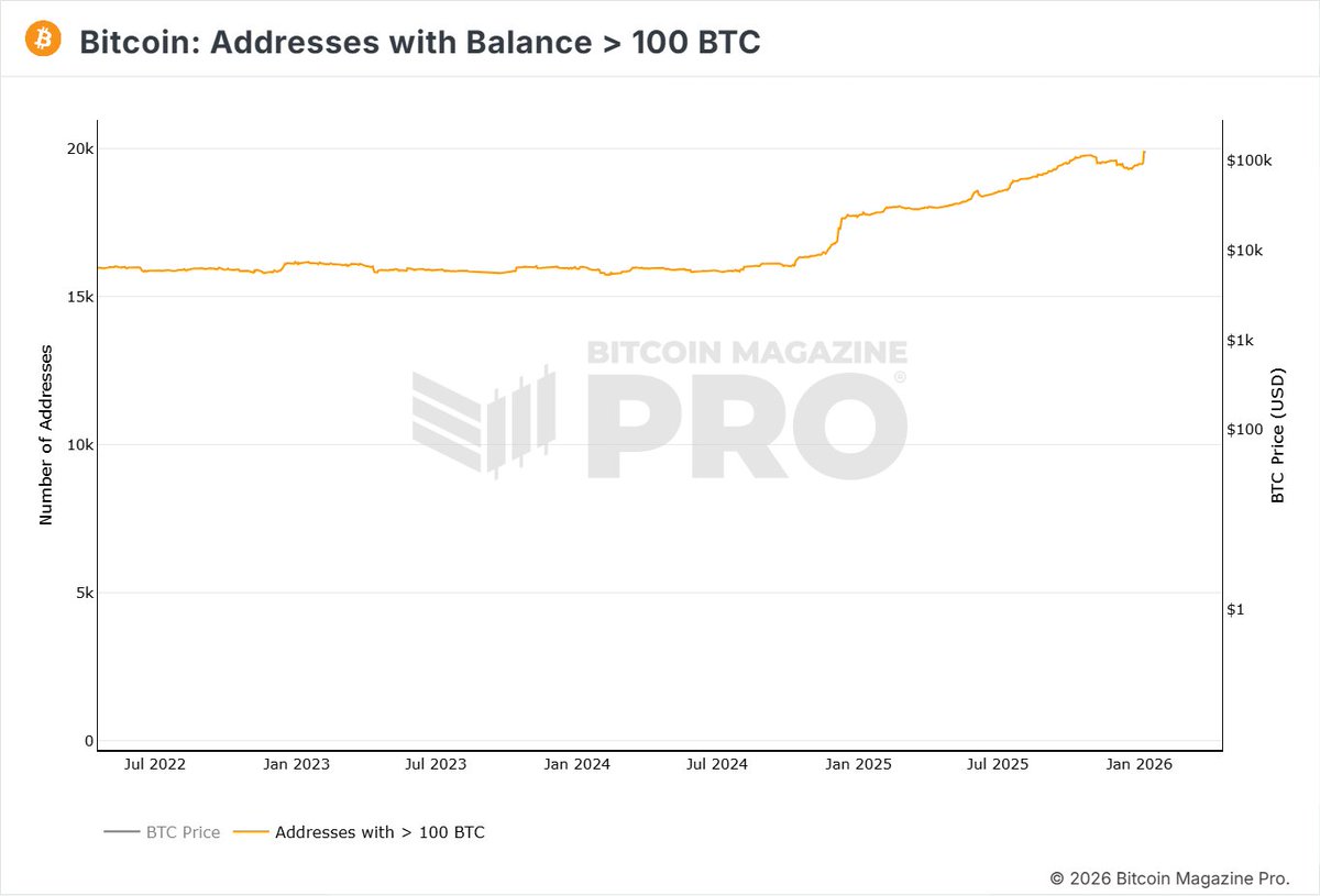 WHALES GOING ALL IN ON #BITCOIN! 🐳 THE NUMBER OF ADDRESSES HOLDING 100+ BTC  REACHED A NEW HIGH!