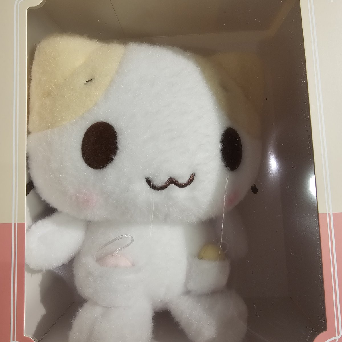 ʚ🧸ɞ tweet media