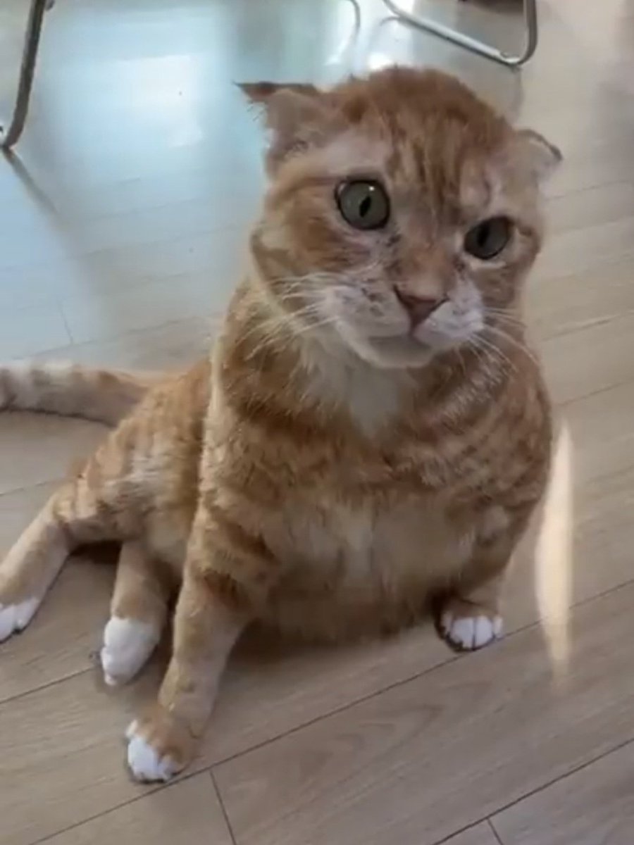 놀기신청하러온냄비                     따지러온냄비