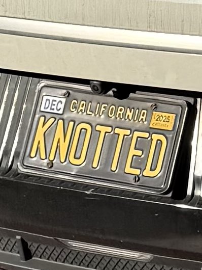 Aeron Shep 🔜 💤 tweet media