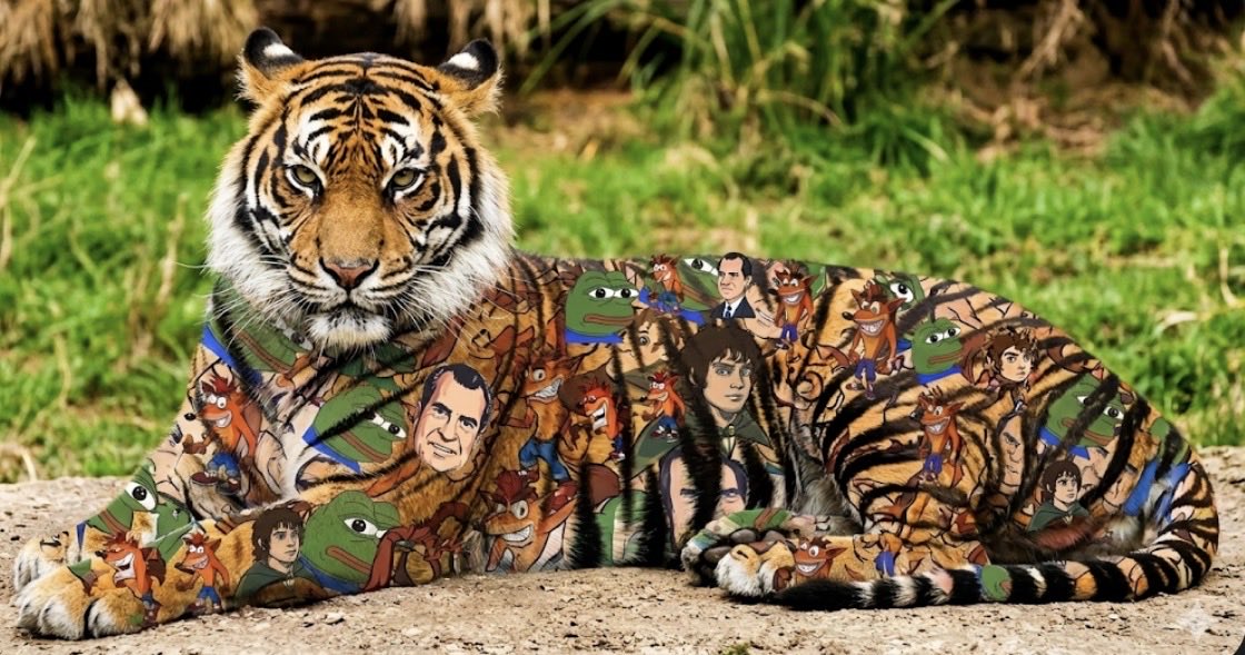 king of the jungle (ticker is $ethereum on base) 

🟦🟧🟩🟦🟧🟩🟦🟧🟩
on the jesse pollack digital computerized informational interaction network know as Base 

🟦🟧🟩🟦🟧🟩