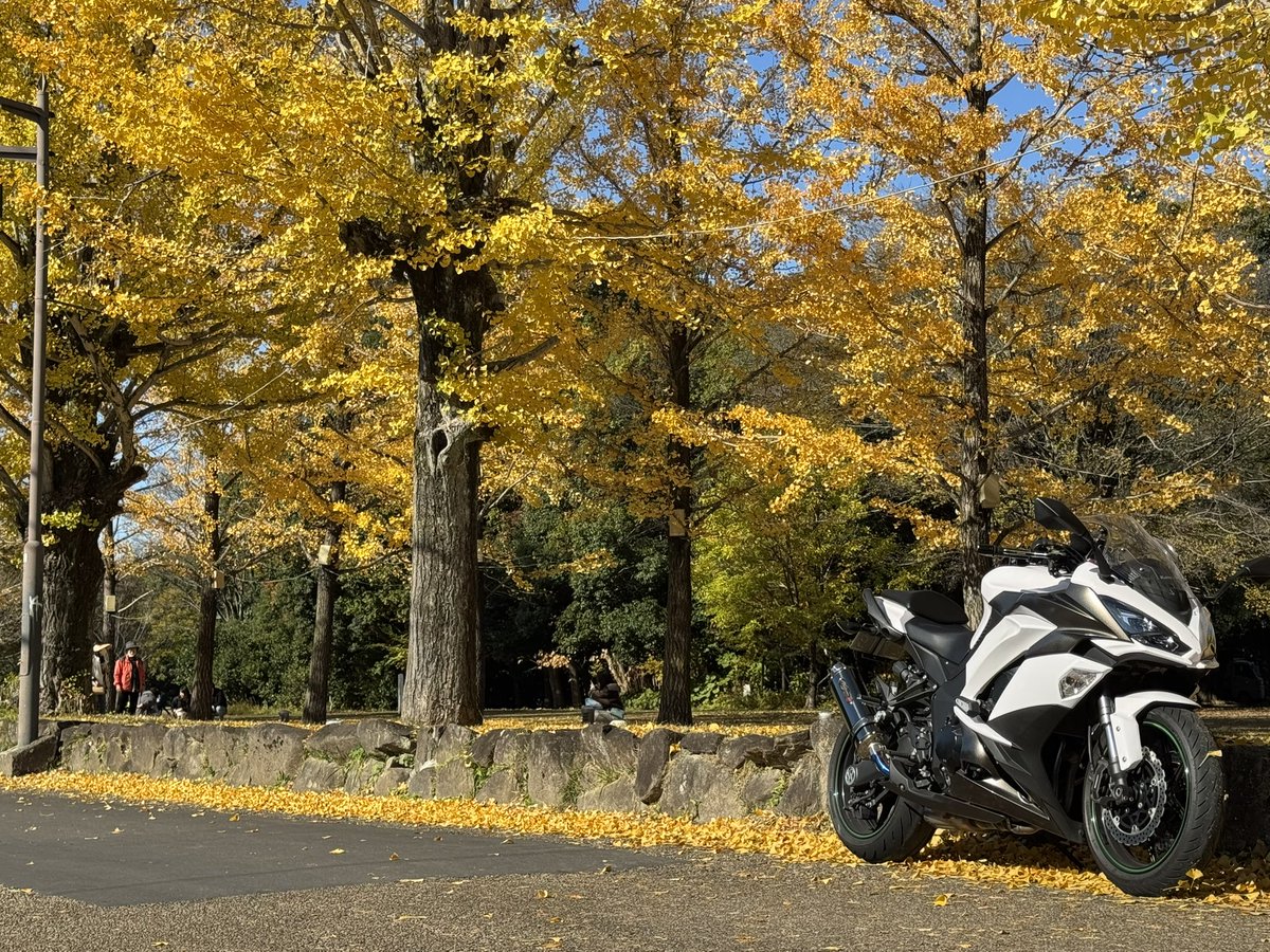 だい/義務ニキ tweet media