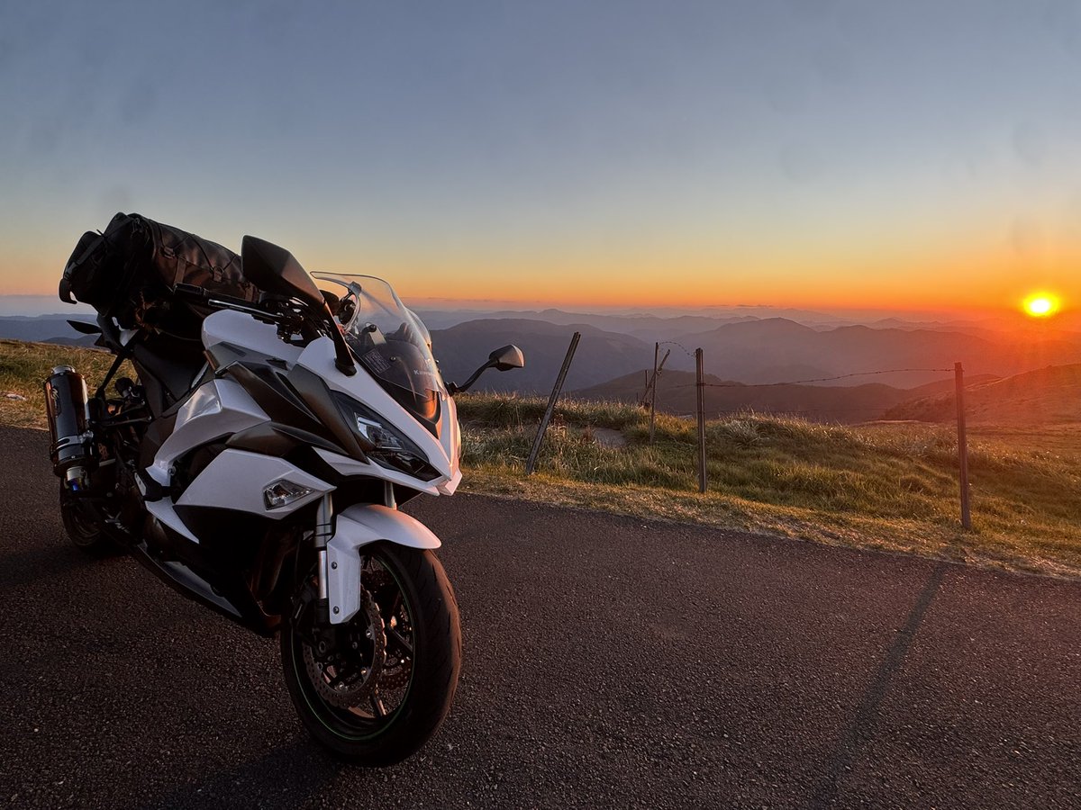 だい/義務ニキ tweet media