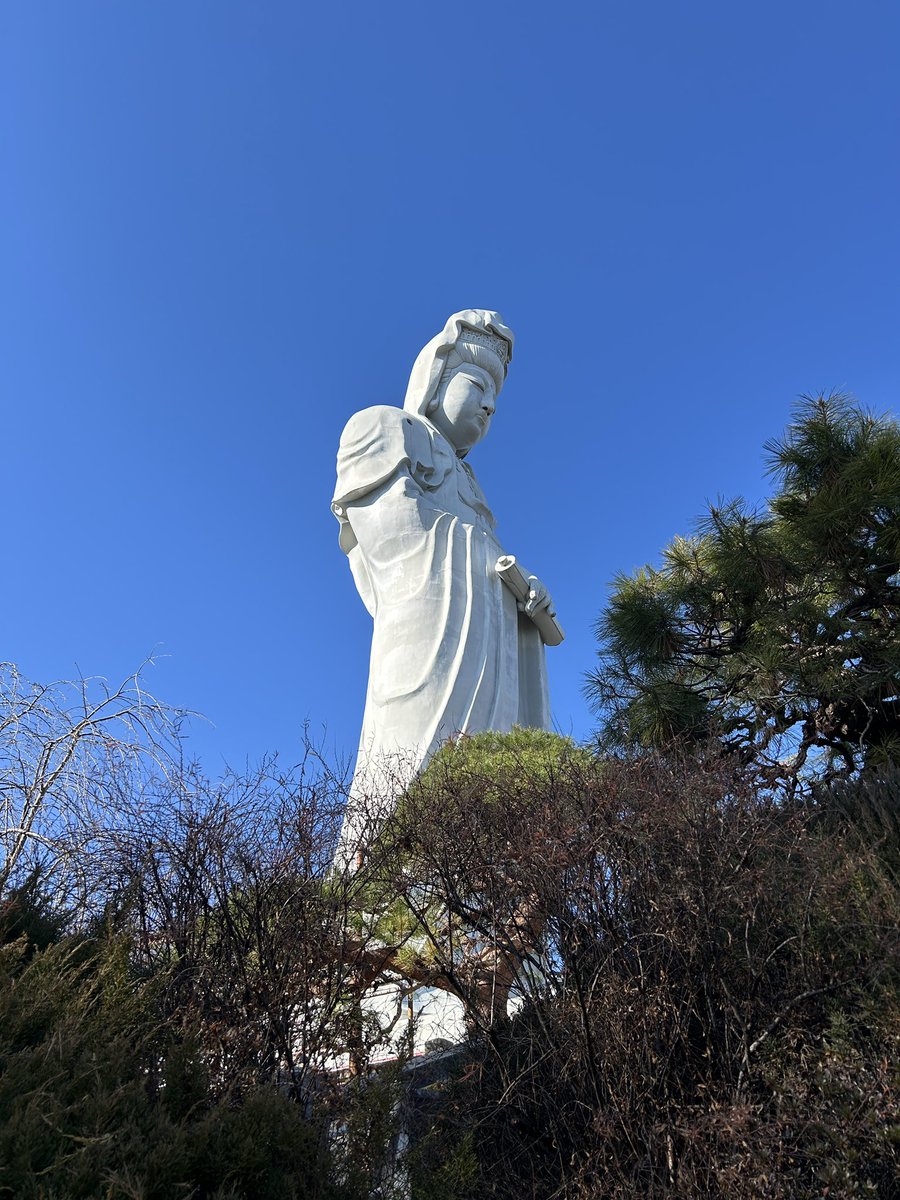 高崎市 白衣観音に今年も来ています