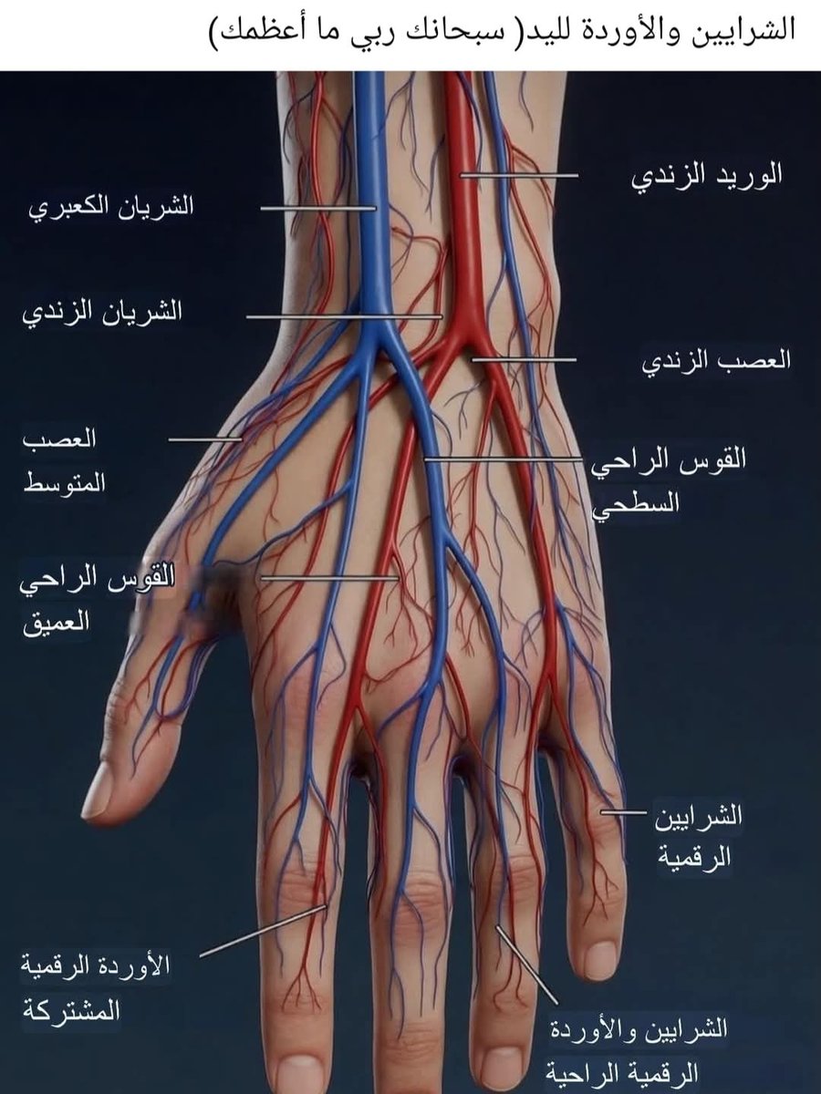 MASM_bn's tweet image. 