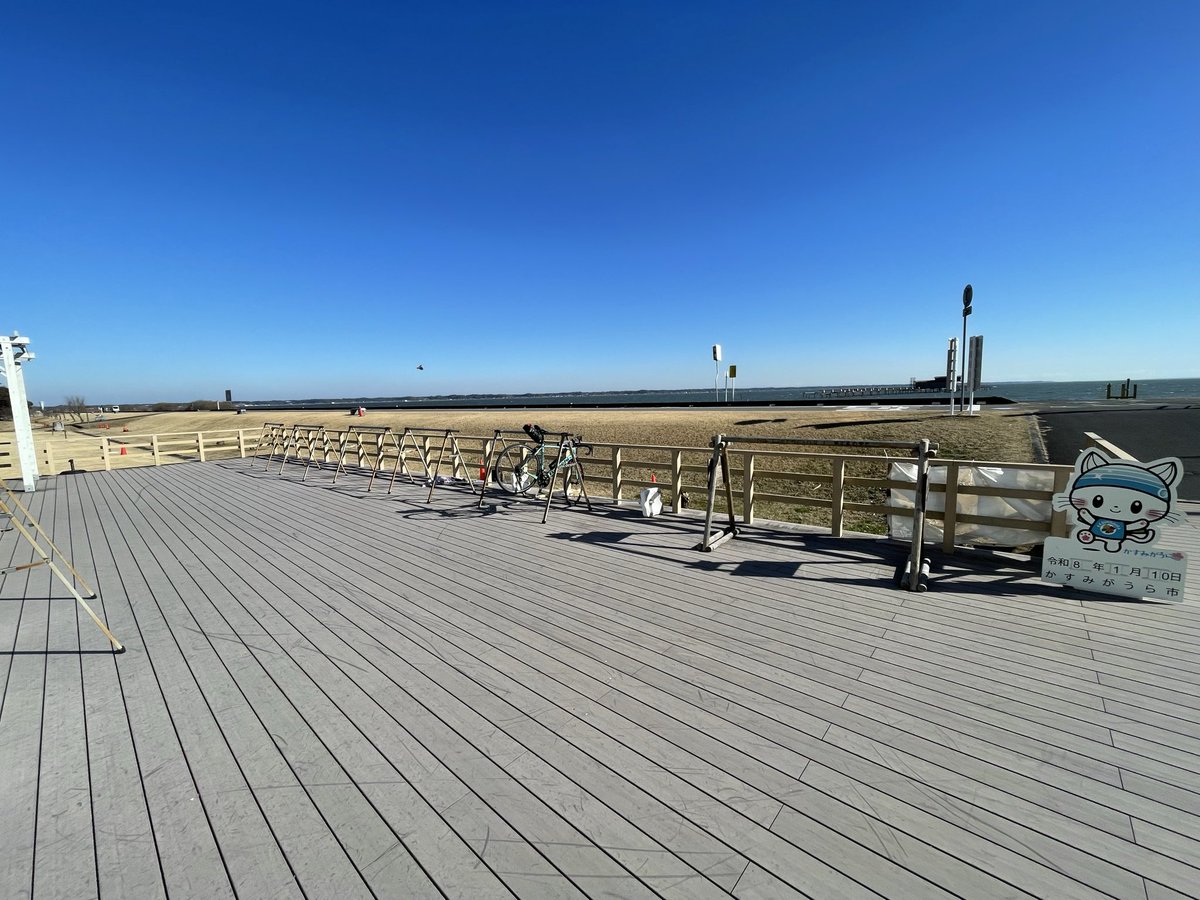 ＣＡＴ３０８ tweet media