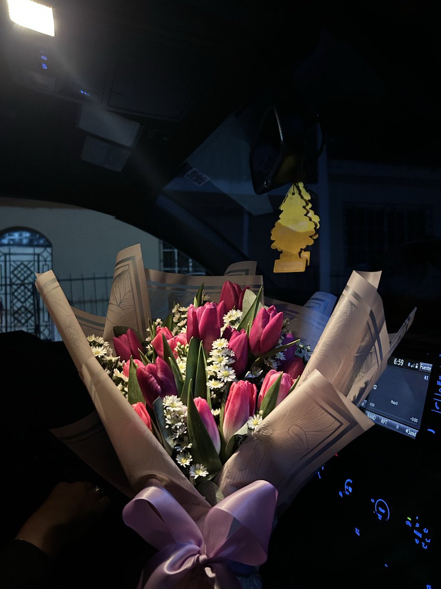 laivetth's tweet photo. Tulips😍🌷 https://t.co/tR2VVsC7r4