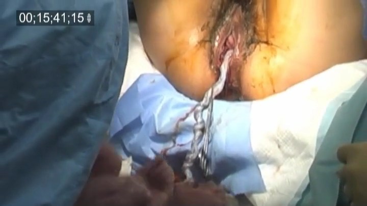 出産好きの物好きさん tweet media