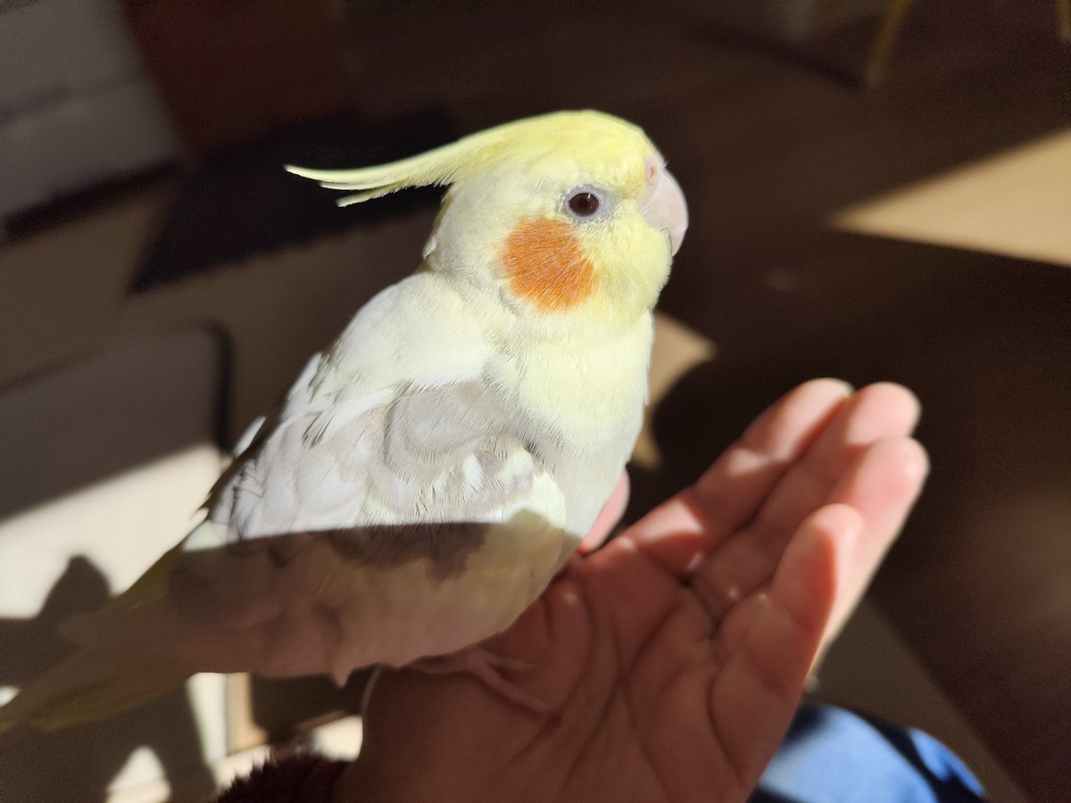 飼い主と日向ぼっこ☀
太陽が暖かいです☀