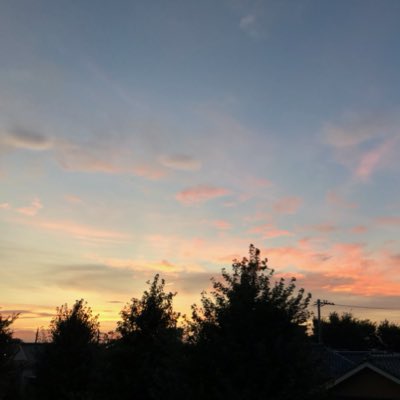 foolurul's tweet image. #新しいプロフィール画像