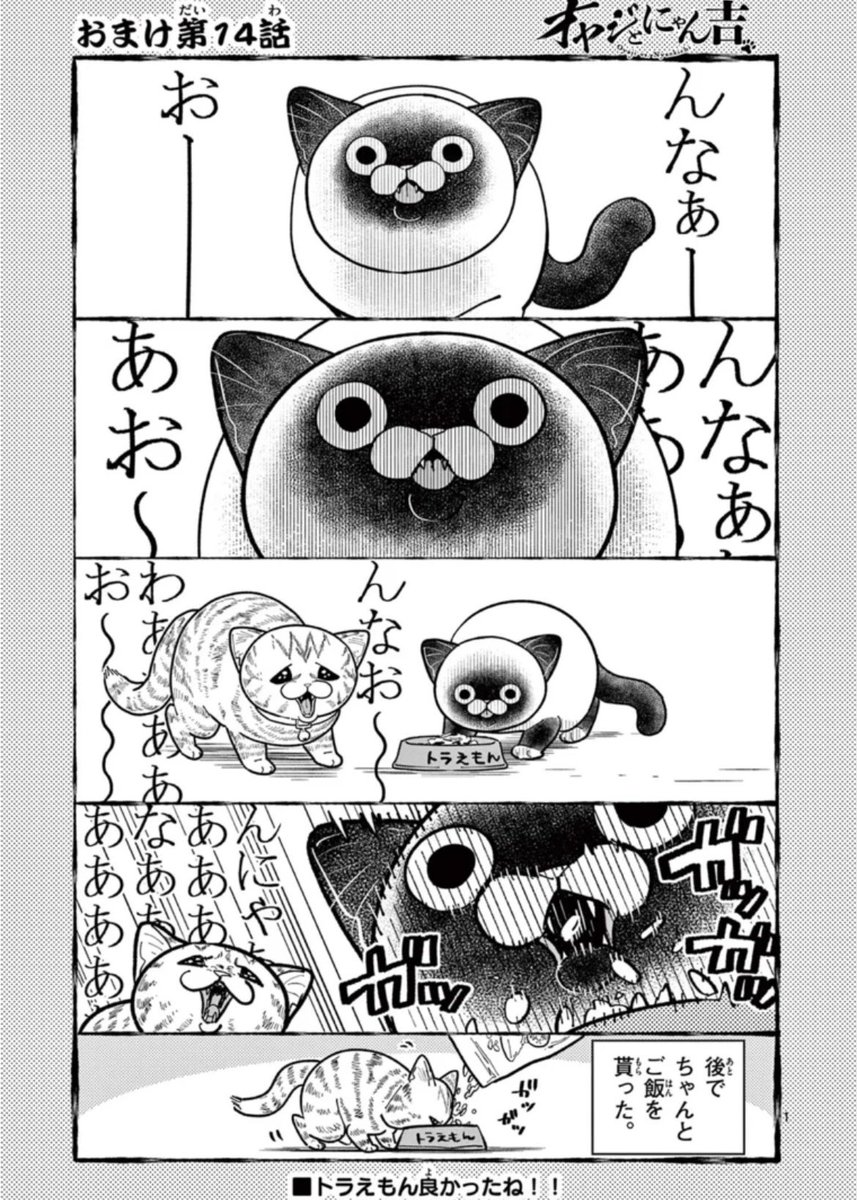 オヤジとにゃん吉🐾公式 (@oyazitonyankiti) / Posts / X