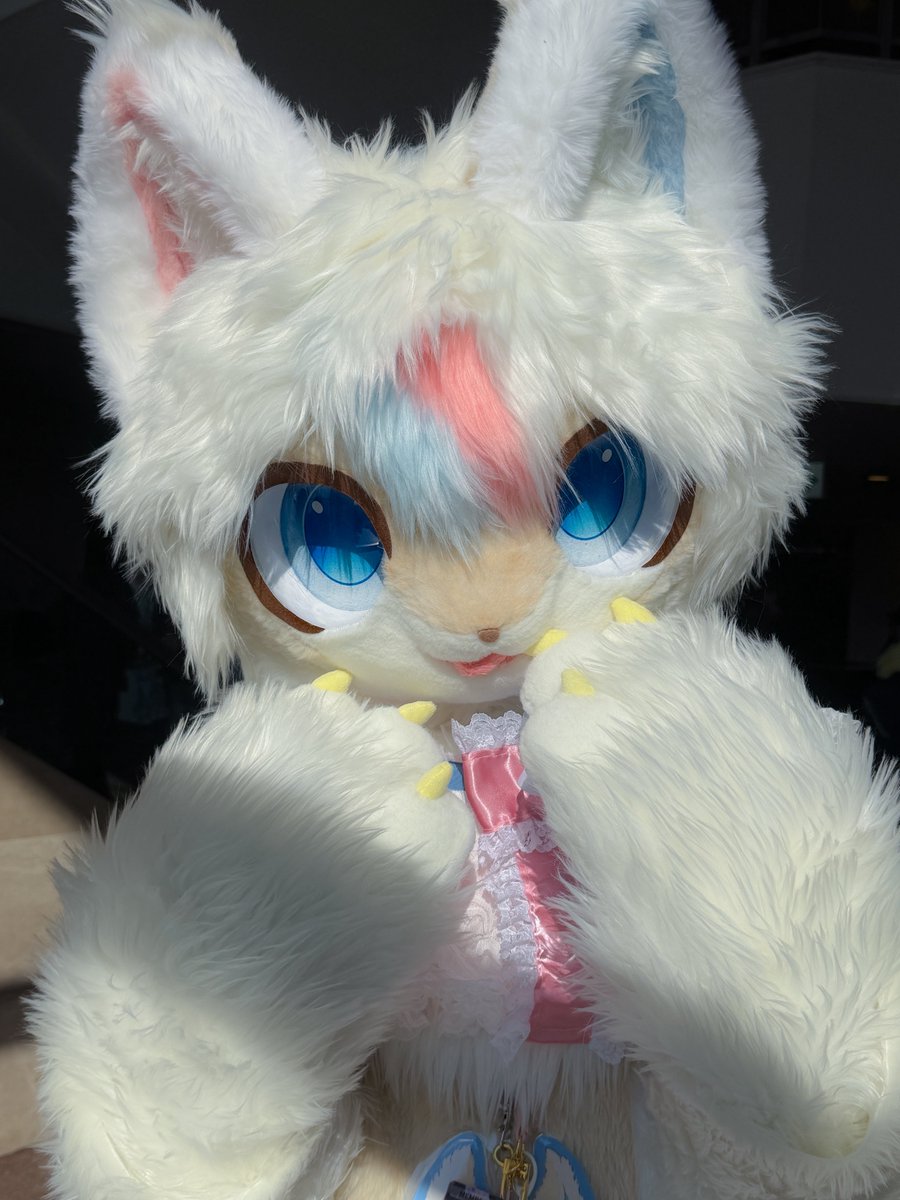 会えた🥲🥲🥲
🐱 <a href="/madeby_pipi/">ぴぴまる🍊</a>