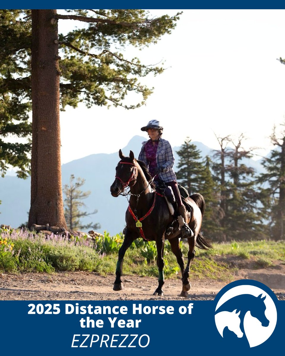 2025 Distance Horse of the Year: Suzanne Ford Huff’s Ezprezzo
endurance.net/FeaturedStorie…