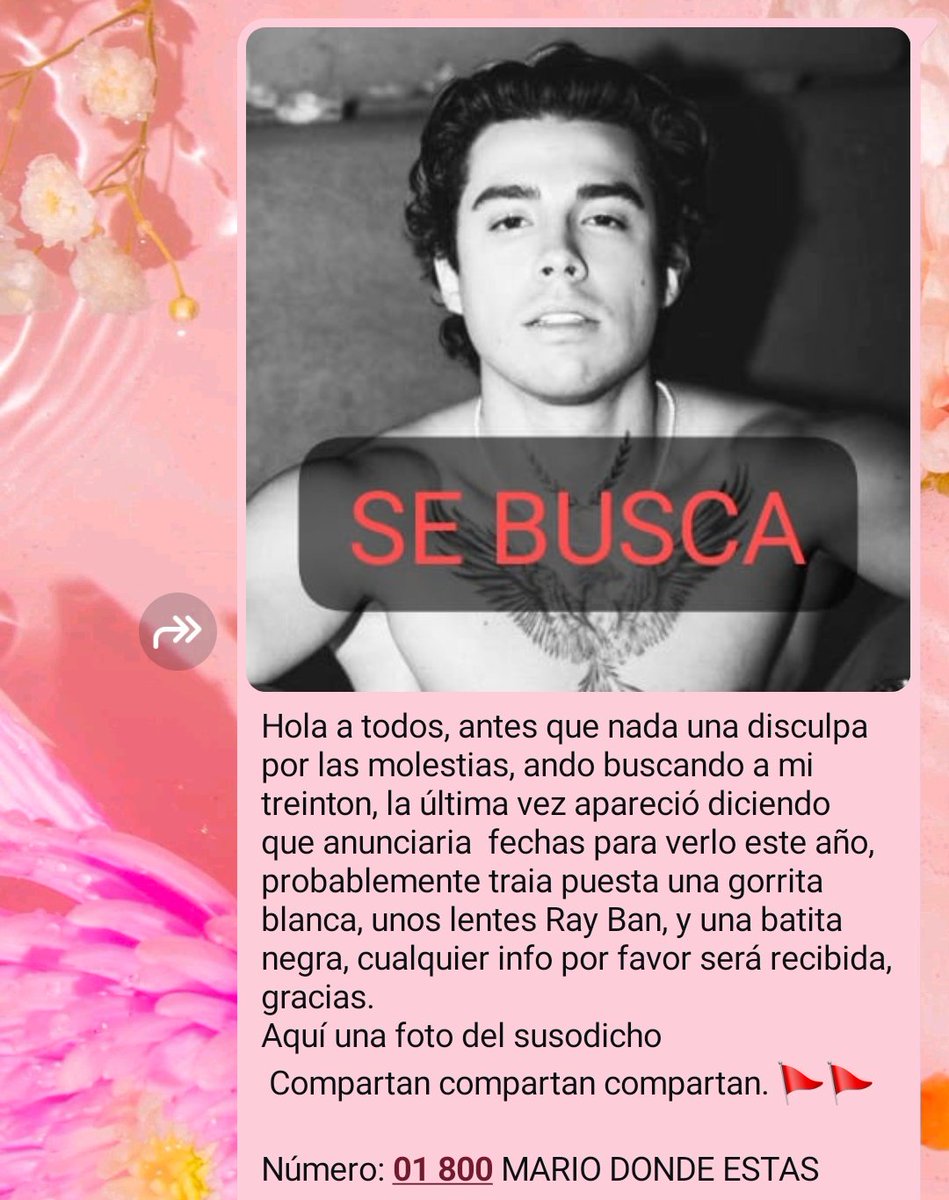 Cualquier info a el número: 01 800 Mario donde estas. 🫰🏻