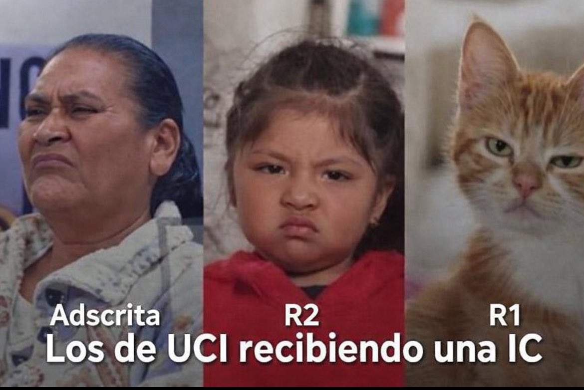 Jesus Salvador Sanchez Diaz tweet media