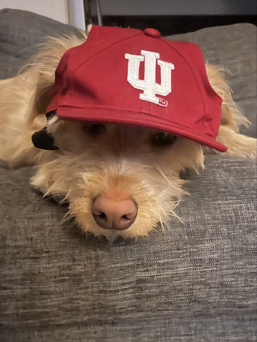 MsChristineATC's tweet photo. No rally cap needed for this girl!  💪🏻 #NeverDaunted https://t.co/LFbBgp43UU