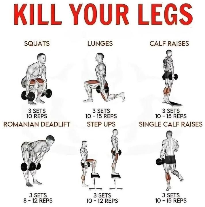 aesthetics_way's tweet photo. Leg Workout Exercises. https://t.co/gzSlOuXBYw