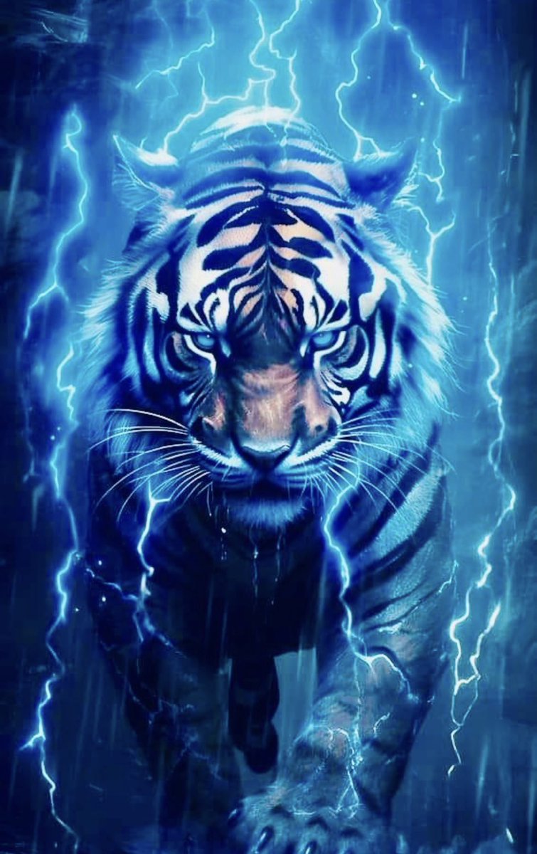 Jsutiger🐅 tweet media