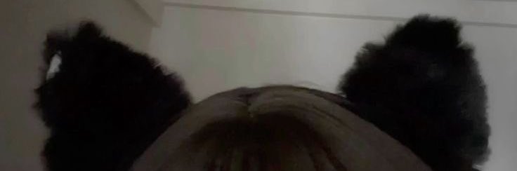 puplocketz's tweet image. angel. she/they. 21.
sub. pan. taboo. 
no tws.  ૮₍´• ˕ •₎ა
like + rt for moots.