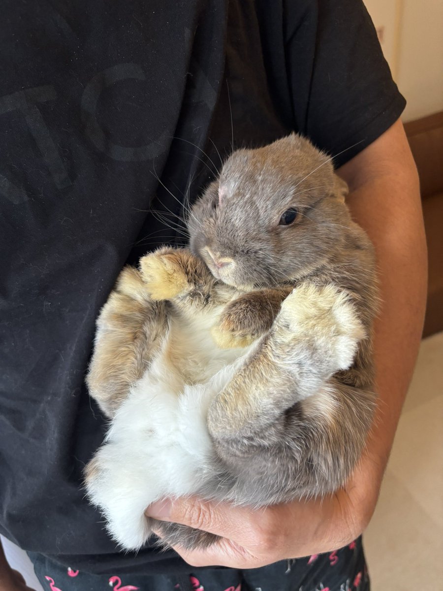 おっぴろげ女子🐰