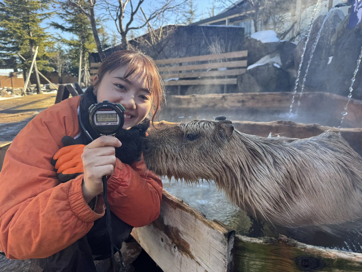 capybarabath's tweet image. 【那須】

こはる2連覇を目指しての挑戦！♨️
記録は、、

1時間32分17秒でした！
逃げ切ってくれ〜〜

#那須どうぶつ王国 #カピバラ #capybaras #カピバラ露天風呂 #長風呂対決