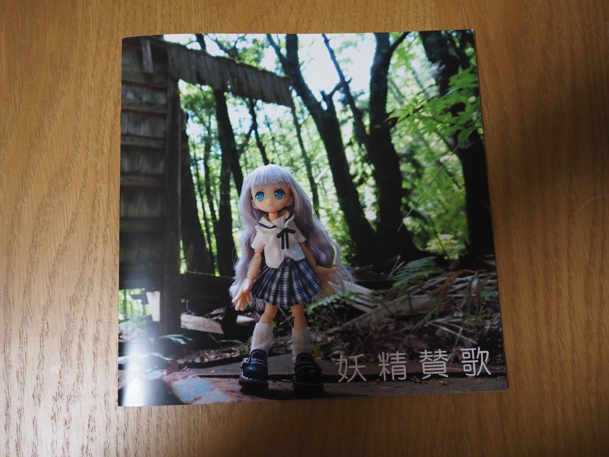 北里るも様 (<a href="/rumokitazato/">北里るも@1/25関西コミティア Ｅ-07</a>)
ドールさんと様々な場所を巡る旅行写真集。失われていく景色たちへの賛美。自分の足で実際に向い、自分の指でシャッターを切り残す風景たち。今はもう存在しなくてもそこに在ったことは紛れもない真実で、そのことに対する真摯で優しい眼差しに頭が下がる気持ちでした。