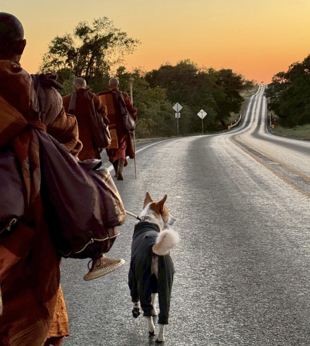 ThaiEnquirer's tweet photo. Buddhist monks reach South Carolina on 77th day of 2,300-mile ‘Walk for Peace’ across US

A group of Buddhist monks undertaking a long-distance walking pilgrimage across the United States has reached South Carolina, continuing their journey from Texas to Washington, D.C., to promote peace, compassion and non-violence.

Now on day 77 of the 120-day trek, the monks are scheduled to walk into the centre of Columbia on Saturday, January 10, and hold a Peace Gathering at the South Carolina State House. Organisers said the group will assemble in the early afternoon at a riverside park in West Columbia before walking together to the state capitol, inviting members of the public to join.

The group of about two dozen monks began the “Walk for Peace” in Fort Worth, Texas, on Oct 26 and is covering an estimated 2,300 miles on foot to the US capital. The journey has drawn widespread attention, with hundreds of supporters greeting the monks along the route and more than 400,000 followers tracking their progress on social media.

The monks regularly share updates, reflections and poetry online and are accompanied by a dog named Aloka, whose name comes from a Sanskrit word meaning “enlightenment,” and which has become a symbol of the walk.

The pilgrimage has faced challenges, including physical strain and safety risks. In December, a truck struck the group’s escort vehicle in Texas, pushing it into two monks and leaving one seriously injured. Organisers said the injured monk is expected to recover following surgery.

Despite the hardships and occasional differing views encountered along the way, organisers have stressed that the walk is not about politics or religious conversion, but about encouraging unity, compassion and mutual understanding, reflecting Buddhism’s long tradition of peace activism.

#Thailand #US #Buddhism #WalkForPeace