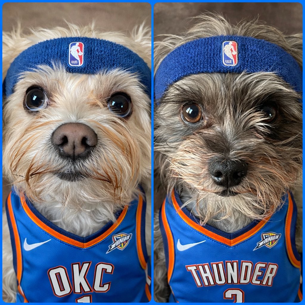 MuppetDogsMom's tweet image. As always, Oliver Jean and Elliott were thundering!  #ThunderUp