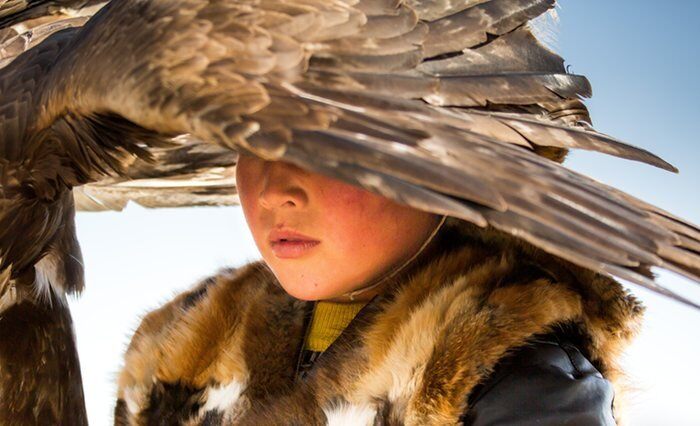 archaeologyart's tweet image. A child beneath the wing of his golden eagle in the Altai region in western Mongolia. The Kazakh nomads still use the birds for hunting.

Photograph: Massimo Rumi/Barcroft Media