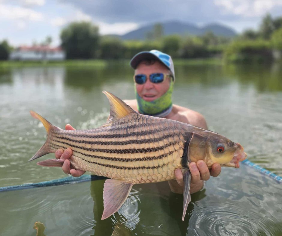 Did You Know? 💡

Jullien’s Golden Carp is one of Southeast Asia’s most eye-catching freshwater fish, known for its rich golden colour that becomes even more striking as the fish matures. 

#TopCatsFishingResort #DidYouKnow #JulliensGoldenCarp #FreshwaterFish #FishingThailand