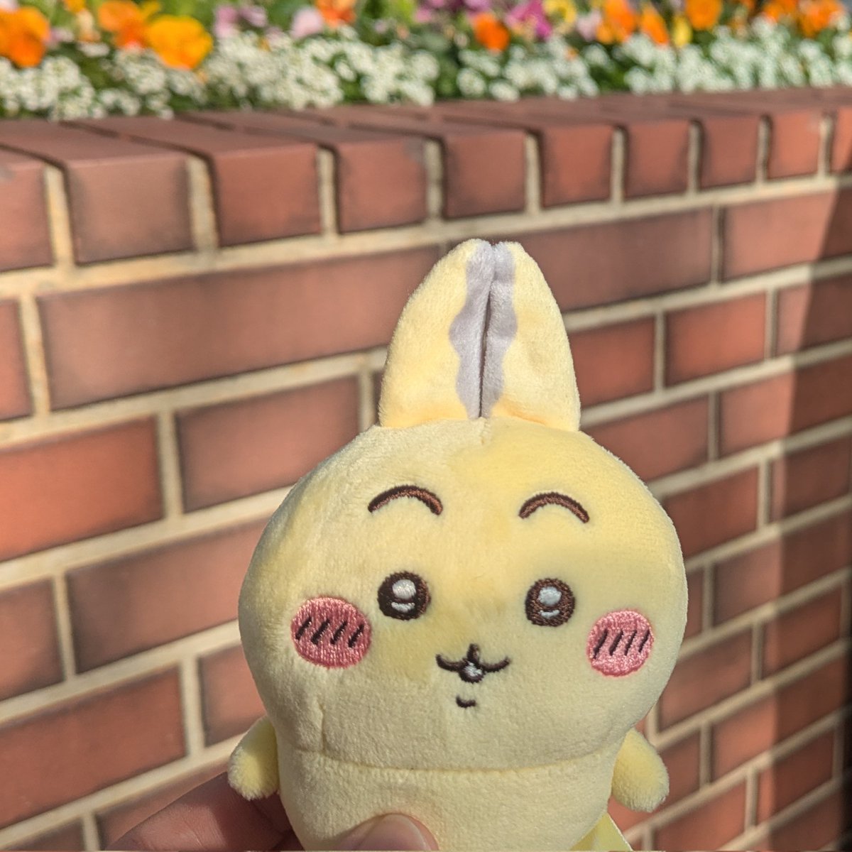 みっつー (@pg_mtm) / Posts / X