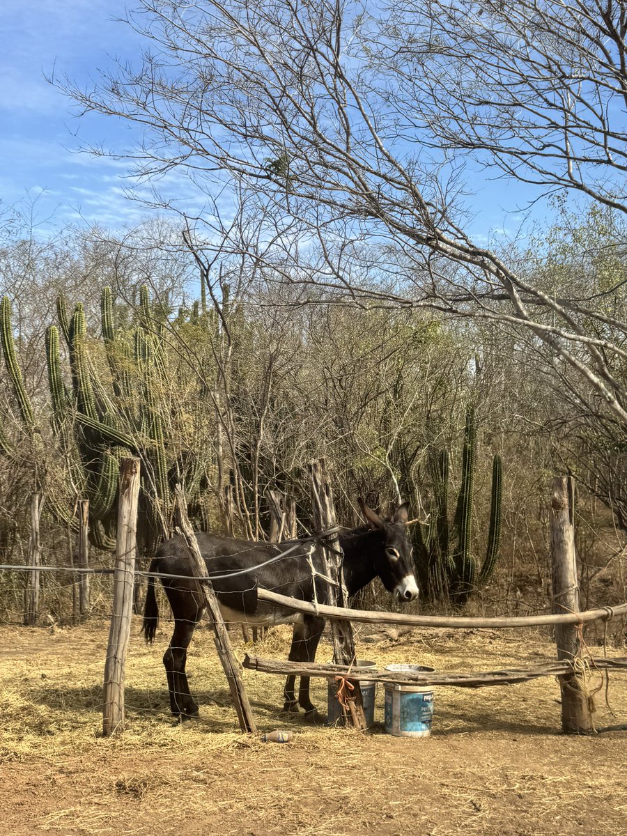 Mona Fang tweet media