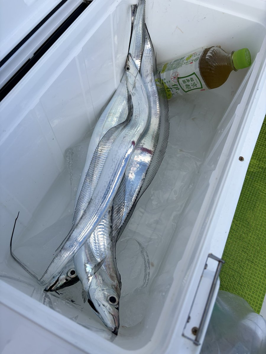 tomorimo's tweet image. 沖あがり。
魚の活性低くて3本しか釣れなかった🥲
爆風❗️撃沈❗️