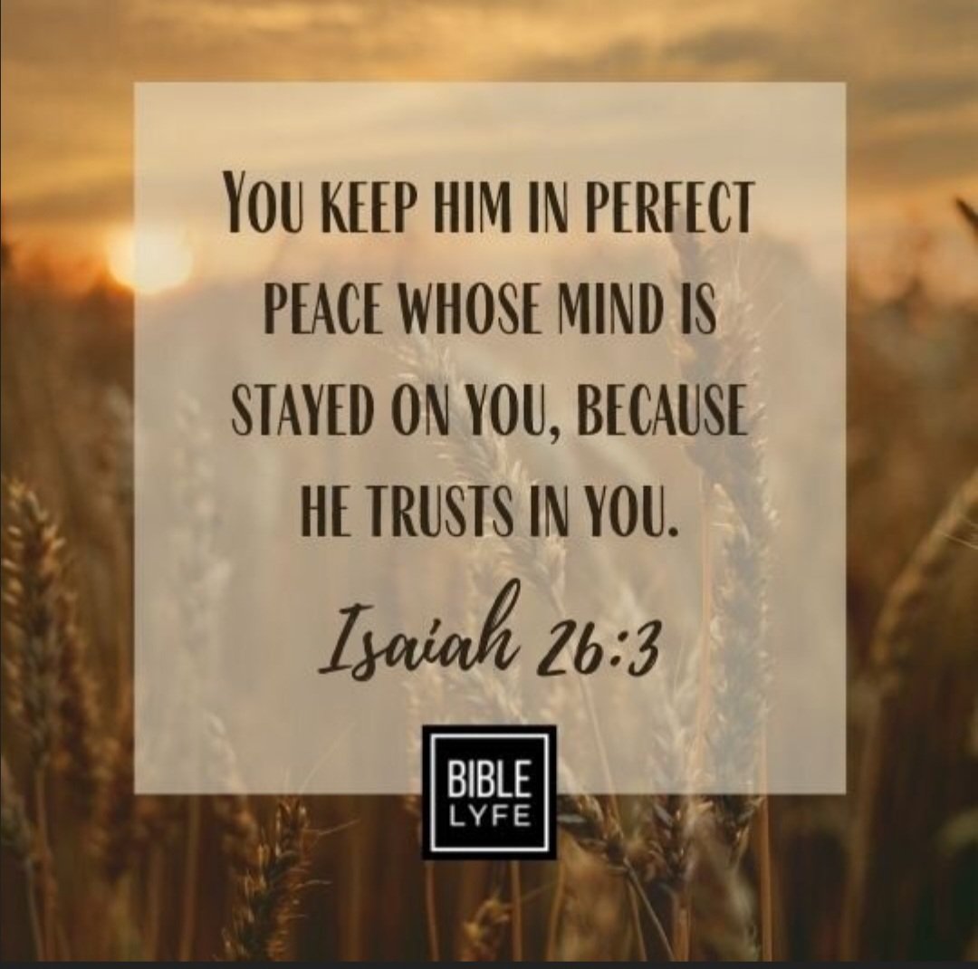 MMcLaughlinsong's tweet image. Jesus is our Prince of Peace.
What a gift!