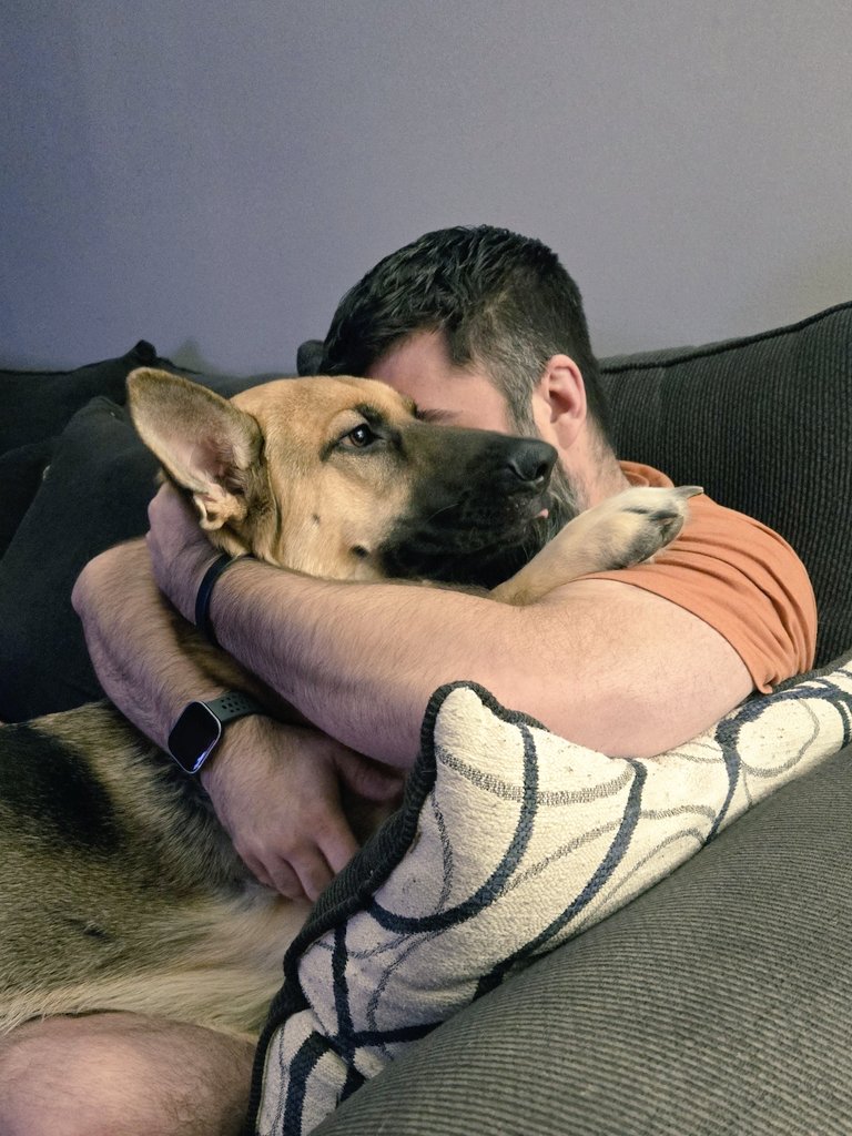 biffalmighty's tweet photo. #GSD #PuppyLove https://t.co/tlrLGMxNtP