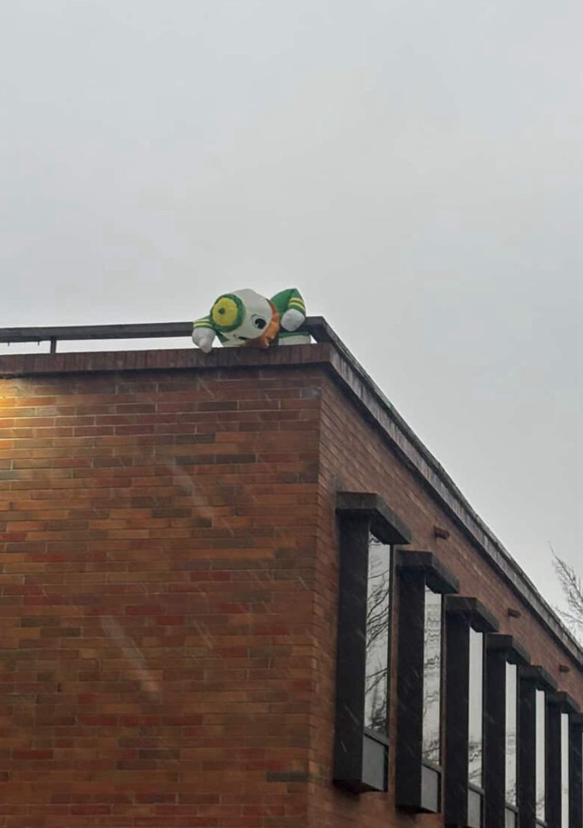 BarstoolDucks's tweet photo. Time for a darkness retreat https://t.co/RIwm53oadS