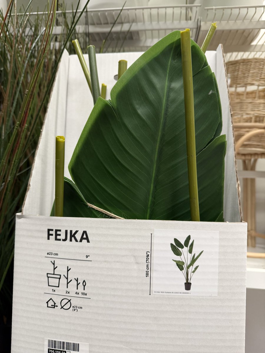 vertbagger's tweet photo. .@IKEA nailed it with the name of this “plant.” https://t.co/UoD7azxY9F