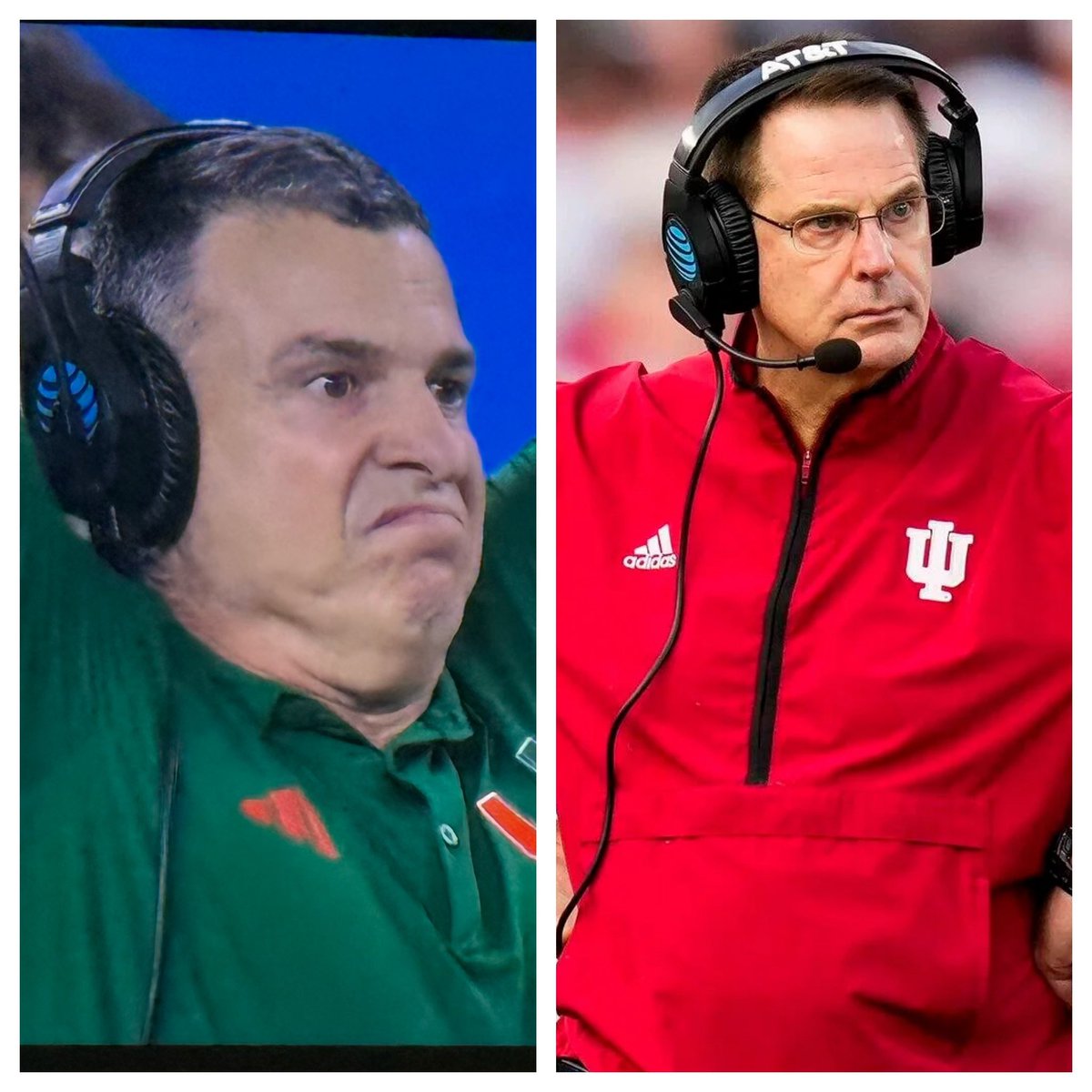 Katie Shook tweet media