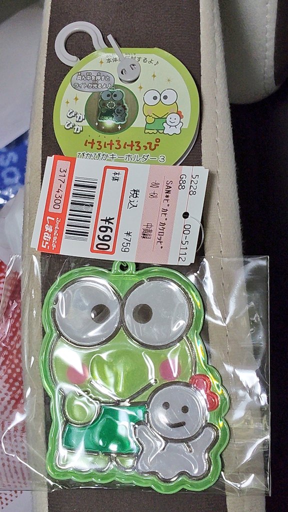 蓮の上けろっぴ (@kero2keroppi) / Posts / X