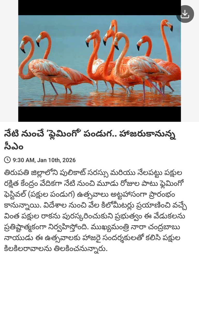 ThandaRamesh4's tweet photo. https://t.co/A65JIYzzBv https://t.co/twKtBREF3C