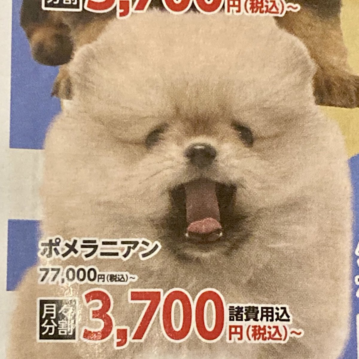 inly_'s tweet photo. なぜこの写真を選んだんだろうかw https://t.co/MsoghsGisz
