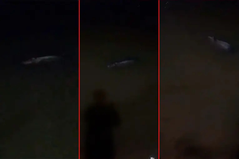 elonce.com tweet media