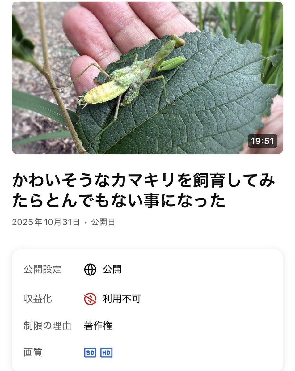 俺のグチャ男の動画が中国の権利管理団体に映像の著作権侵害って収益化を奪われた。俺の動画で俺の部屋で俺の声で俺の編集で俺のグチャ男やのに…
YouTubeさんどうにかしてくれぇ〜（ ;  ; ）
100万再生の大切な動画を簡単に奪わんといてくれぇ〜