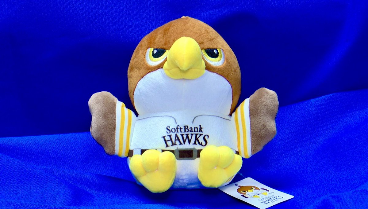 和田 毅さん直筆サイン入り タカぬいぐるみ(非売品)🦅 】 を1名様に