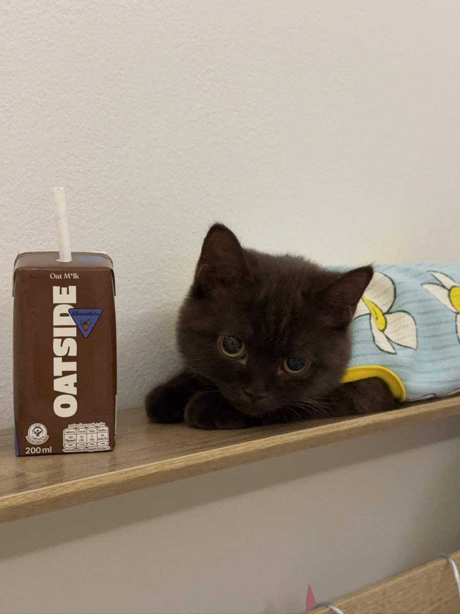 สุขสันต์วันเด็กค้าบบบ เด็กน้อยฮัดชิ้ววว🤎🤏🏻