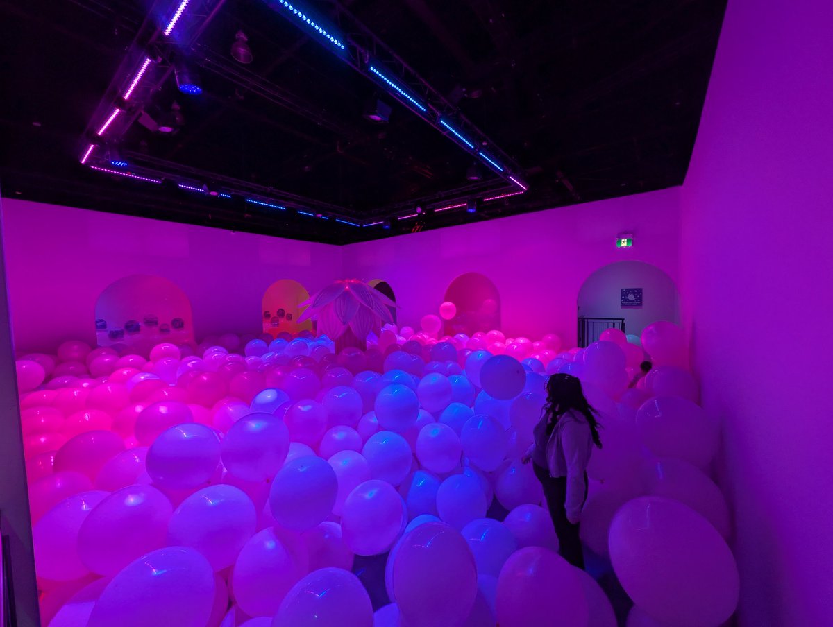 Dominus Inflatables tweet media