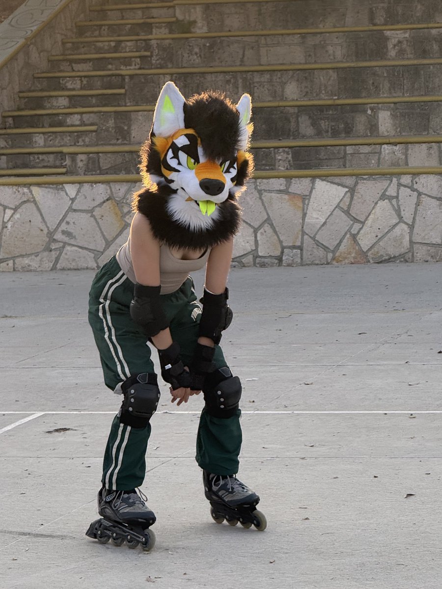 ✖️stripedwolf!🏝️✖️ tweet media